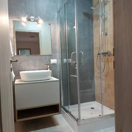 Apartment Apartament Roland 1 Brasov